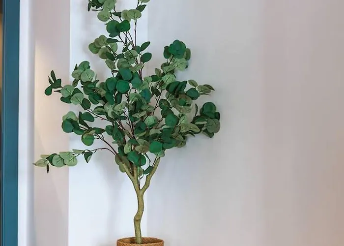 Angra Soul 1 - By Pontanegraazores Daire Angra do Heroísmo